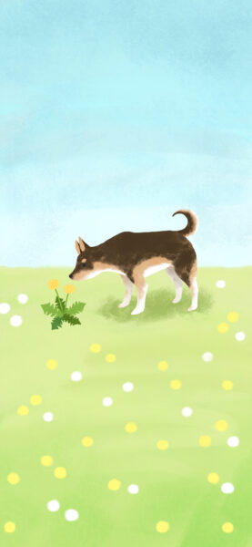 スマホ用壁紙2026年3月用