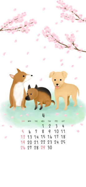 スマホ用壁紙2026年4月用