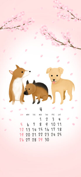 スマホ用壁紙2026年4月用