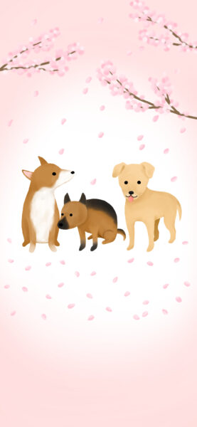 スマホ用壁紙2026年4月用