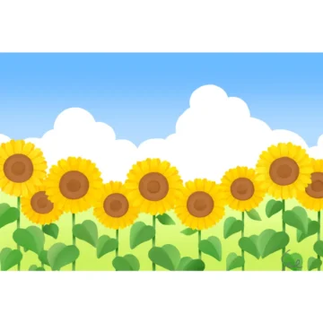 イラスト ひまわり